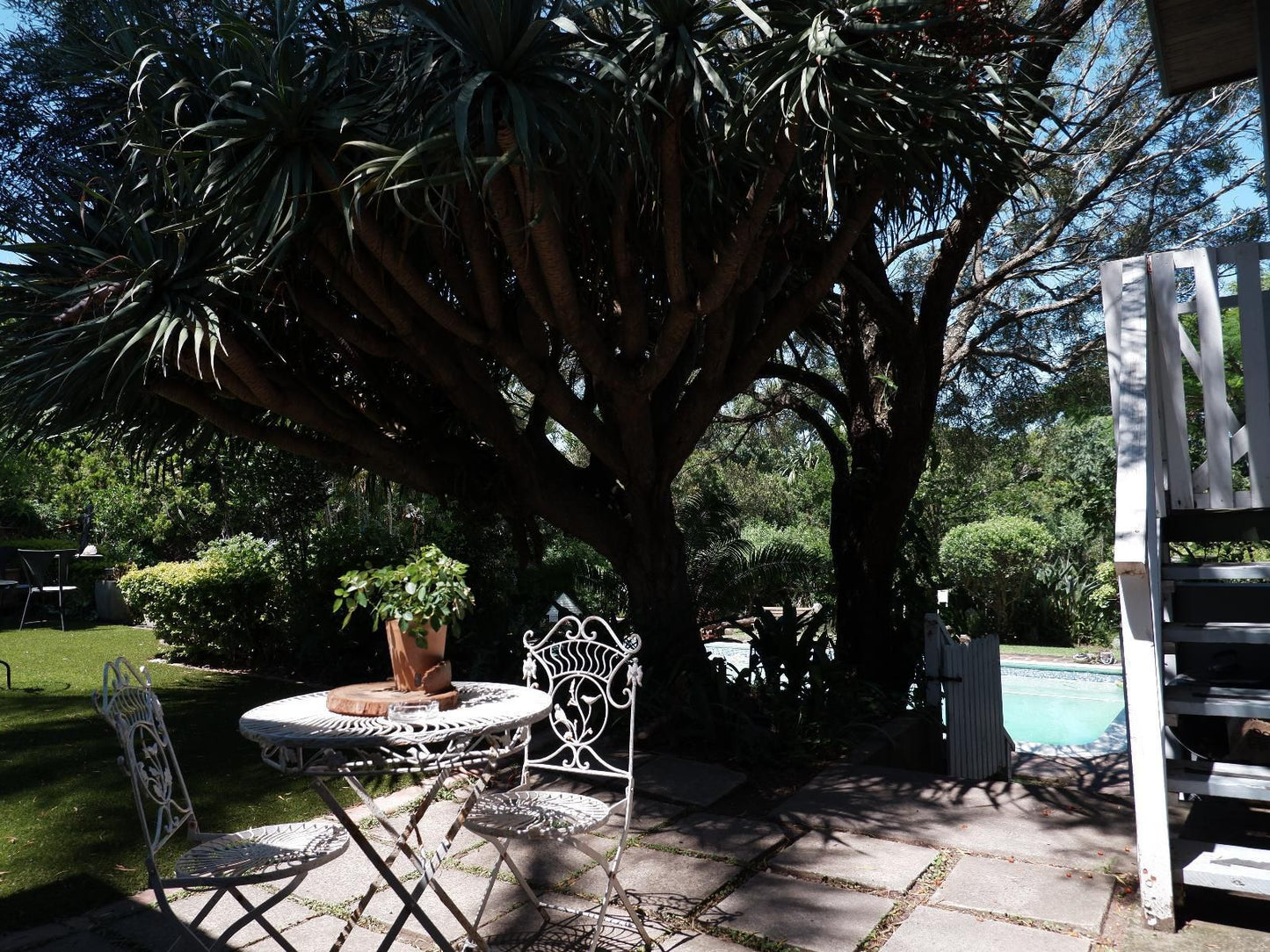 On The Summit Lodge Beacon Bay East London Eastern Cape South Africa Plant, Nature, Tree, Wood, Garden