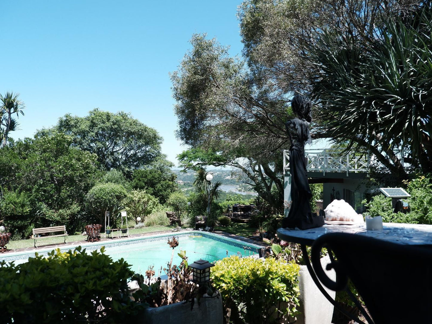 On The Summit Lodge Beacon Bay East London Eastern Cape South Africa Palm Tree, Plant, Nature, Wood, Garden, Swimming Pool