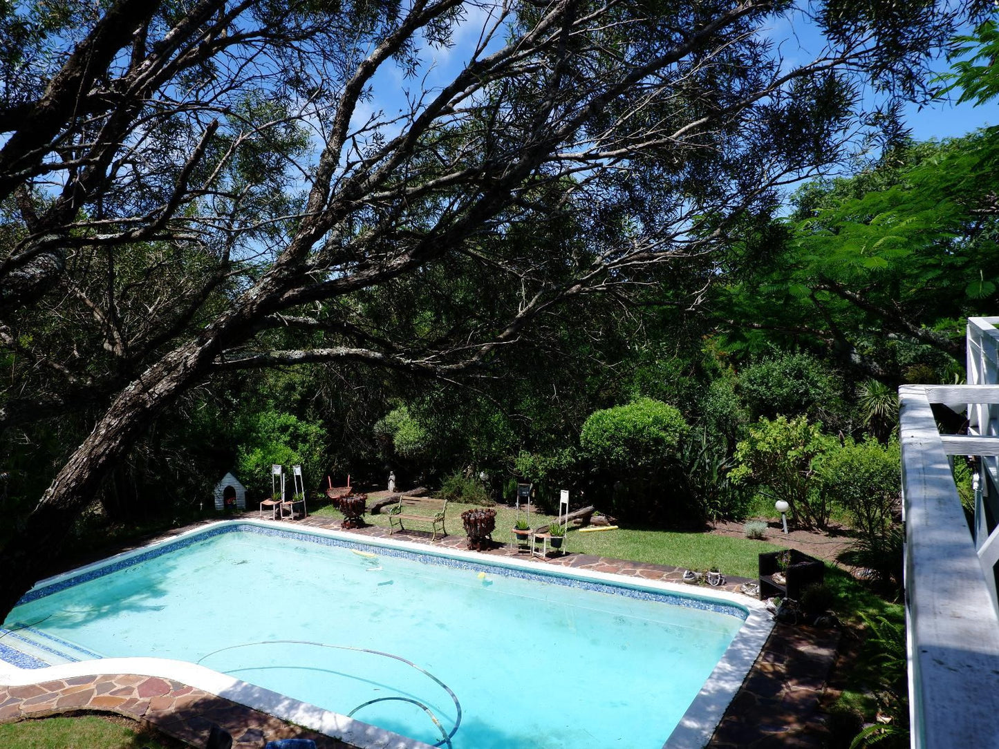 On The Summit Lodge Beacon Bay East London Eastern Cape South Africa Plant, Nature, Garden, Swimming Pool