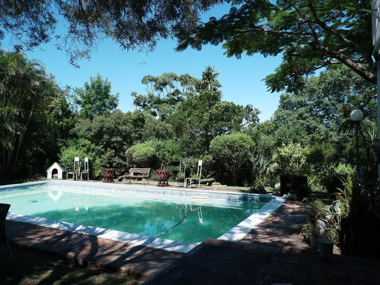 On The Summit Lodge Beacon Bay East London Eastern Cape South Africa Garden, Nature, Plant, Swimming Pool