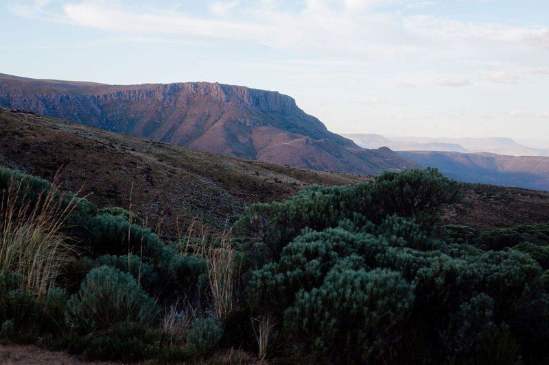 Onbedacht Cottage Graaff Reinet Eastern Cape South Africa Nature