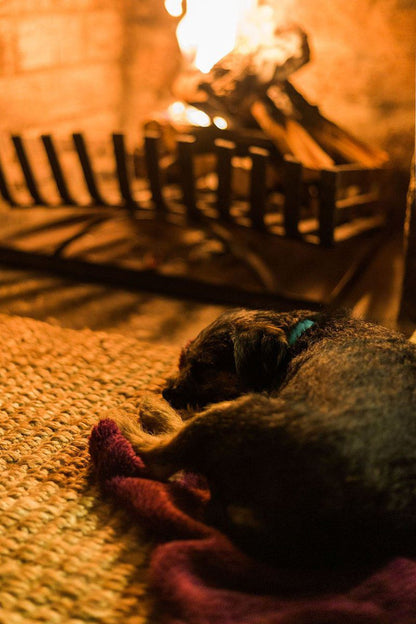 Onbedacht Cottage Graaff Reinet Eastern Cape South Africa Colorful, Chicken, Bird, Animal, Agriculture, Farm Animal, Dog, Mammal, Pet, Chimpanzee, Primate, Fire, Nature