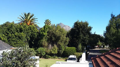 On Broadwalk Pinelands Cape Town Western Cape South Africa Complementary Colors, Palm Tree, Plant, Nature, Wood