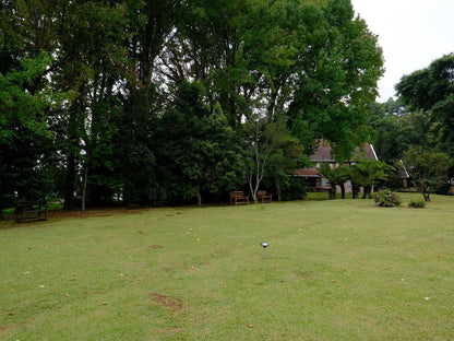 Ondini Guest House Champagne Valley Kwazulu Natal South Africa Tree, Plant, Nature, Wood, Ball Game, Sport, Golfing