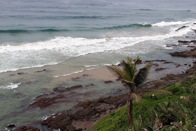 18 The Islands Shakas Rock Ballito Kwazulu Natal South Africa Beach, Nature, Sand, Cliff, Palm Tree, Plant, Wood, Wave, Waters, Ocean