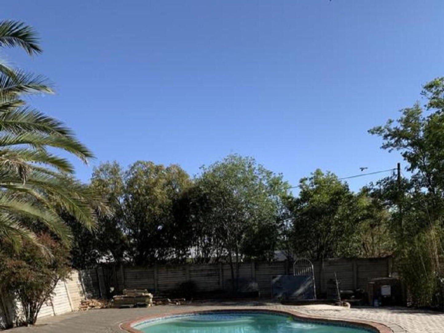 One More Nap Self Catering Bayswater Bloemfontein Free State South Africa Palm Tree, Plant, Nature, Wood, Garden, Swimming Pool