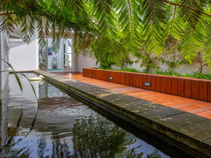 One On Bollard Leisure Island Knysna Western Cape South Africa House, Building, Architecture, Palm Tree, Plant, Nature, Wood, Swimming Pool