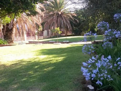 One Fountain Bandb Barkly West Northern Cape South Africa Palm Tree, Plant, Nature, Wood, Garden