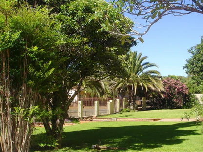 One Fountain Bandb Barkly West Northern Cape South Africa Palm Tree, Plant, Nature, Wood, Garden