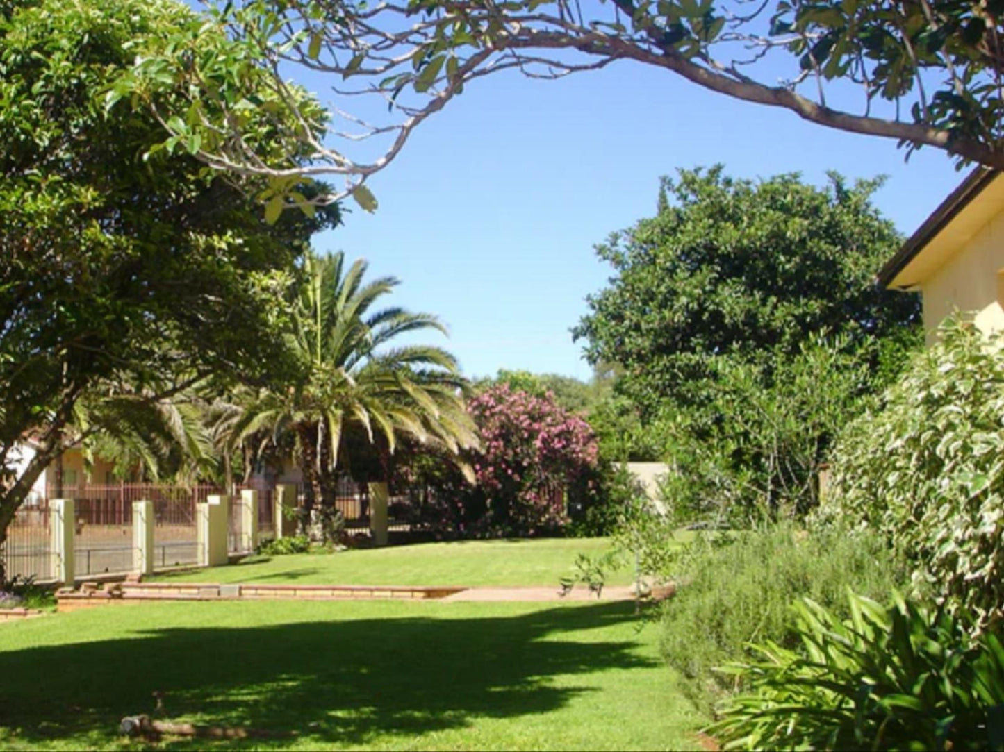 One Fountain Bandb Barkly West Northern Cape South Africa Complementary Colors, Palm Tree, Plant, Nature, Wood, Garden