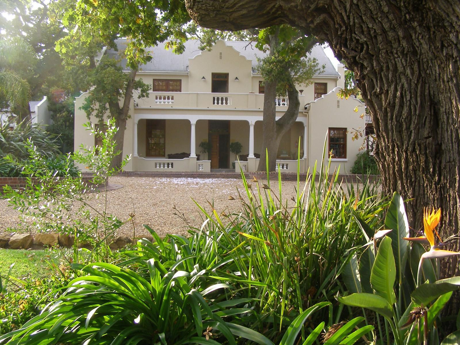 Ongegund Lodge Somerset West Western Cape South Africa House, Building, Architecture, Palm Tree, Plant, Nature, Wood