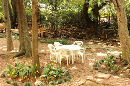 On Golden Pond Guesthouse Potchefstroom North West Province South Africa Sepia Tones, Forest, Nature, Plant, Tree, Wood