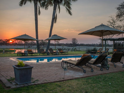 Onguma Bush Camp, Palm Tree, Plant, Nature, Wood, Swimming Pool