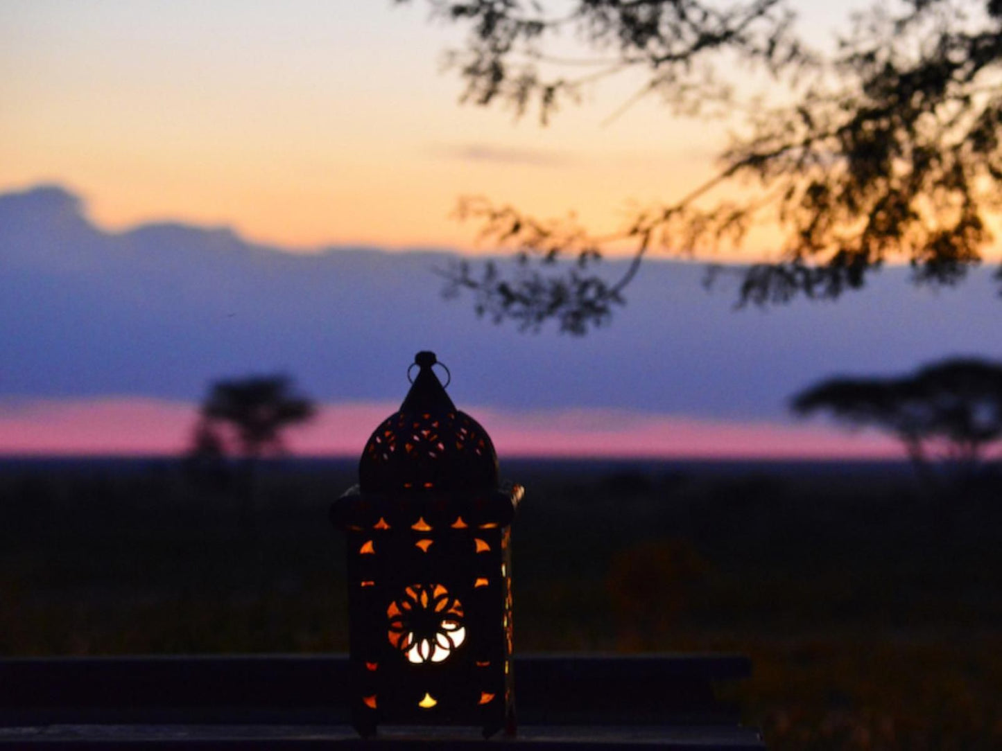 Onguma The Fort, Silhouette