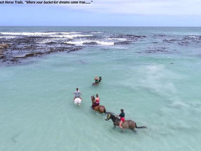 Ons C Huis Perlemoen Bay Gansbaai Western Cape South Africa Beach, Nature, Sand, Ocean, Waters