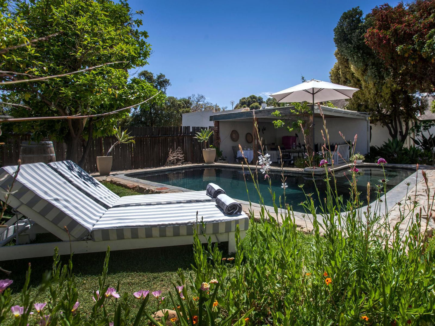 Onse Rus Guest House Prince Albert Western Cape South Africa House, Building, Architecture, Palm Tree, Plant, Nature, Wood, Garden, Swimming Pool