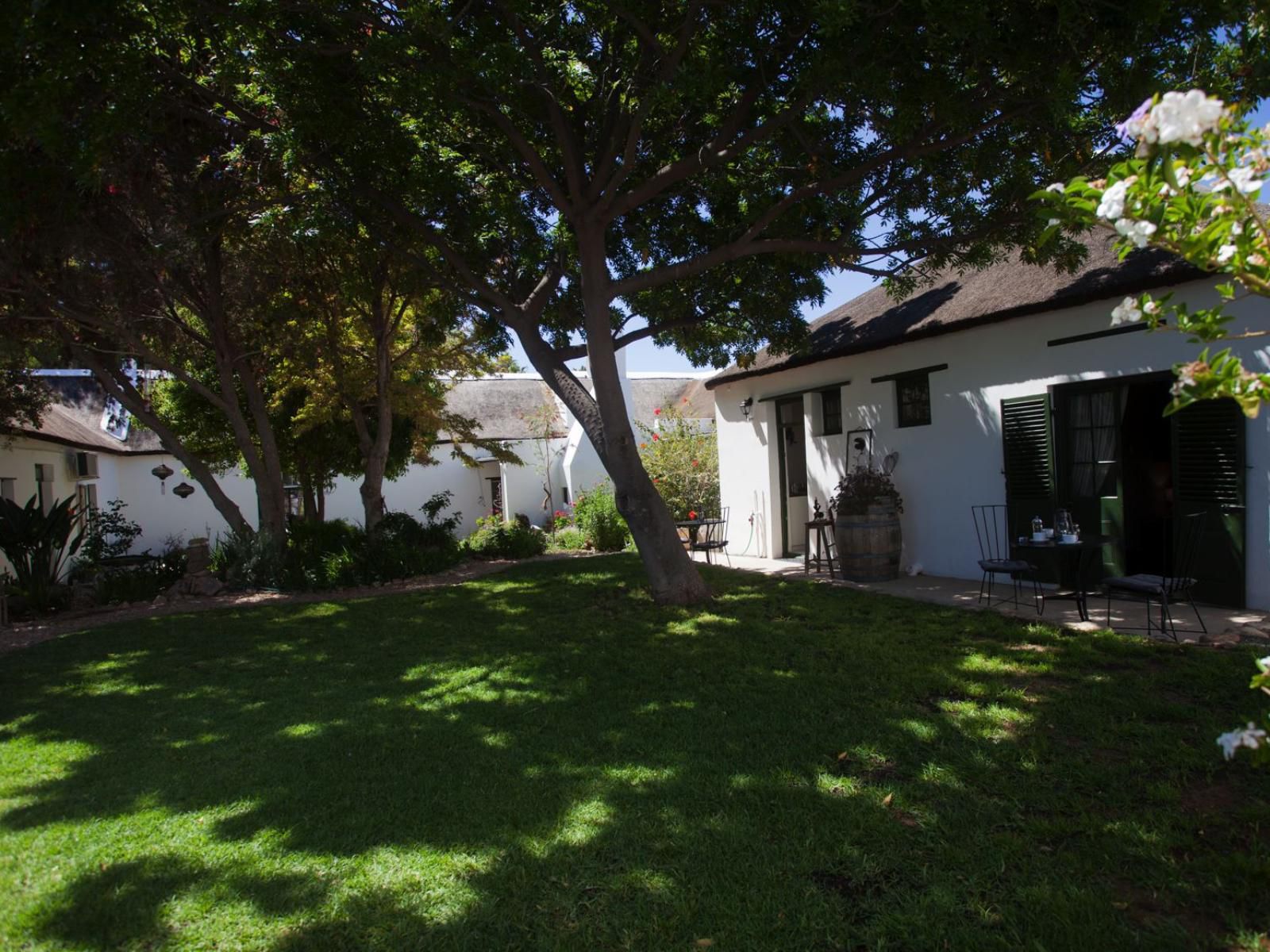 Onse Rus Guest House Prince Albert Western Cape South Africa House, Building, Architecture, Palm Tree, Plant, Nature, Wood, Garden