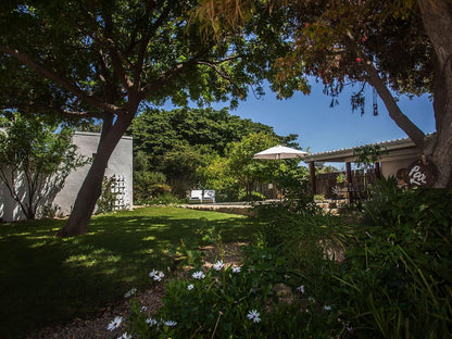 Onse Rus Guest House Prince Albert Western Cape South Africa Palm Tree, Plant, Nature, Wood, Garden