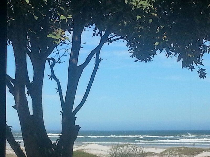 On The Beach Melkbosstrand Cape Town Western Cape South Africa Beach, Nature, Sand, Tree, Plant, Wood, Ocean, Waters