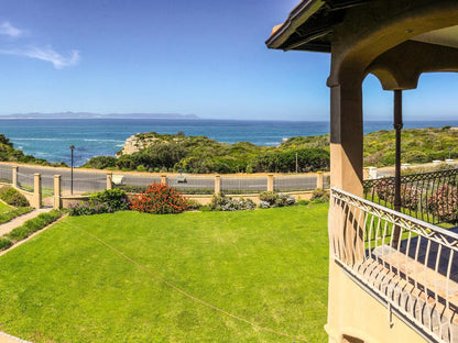 On The Cliff Hermanus Western Cape South Africa Complementary Colors, Colorful, Beach, Nature, Sand, Framing, Garden, Plant