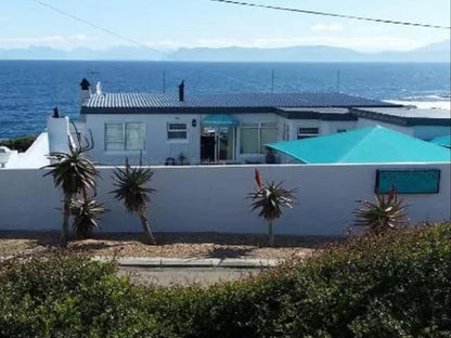 On The Rocks Bandb De Kelders Western Cape South Africa House, Building, Architecture, Palm Tree, Plant, Nature, Wood, Window, Swimming Pool