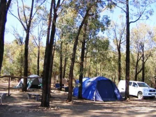 Op Die Plaas Kamp Seweweekspoort Western Cape South Africa Complementary Colors, Forest, Nature, Plant, Tree, Wood, Tent, Architecture, Car, Vehicle