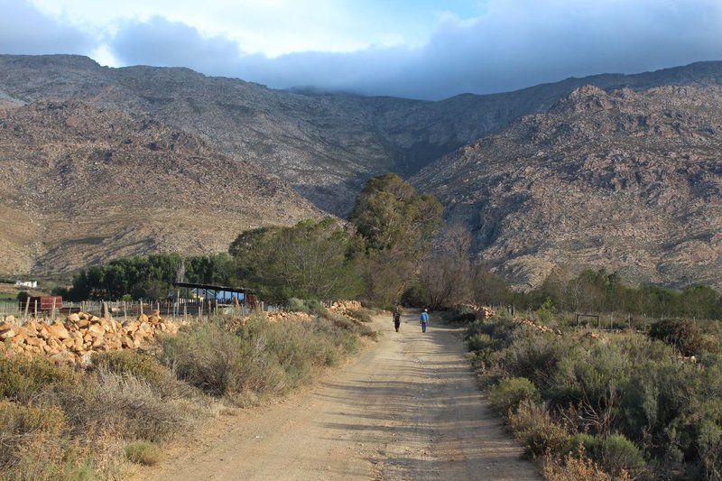 Op Die Plaas Kamp Seweweekspoort Western Cape South Africa Cactus, Plant, Nature