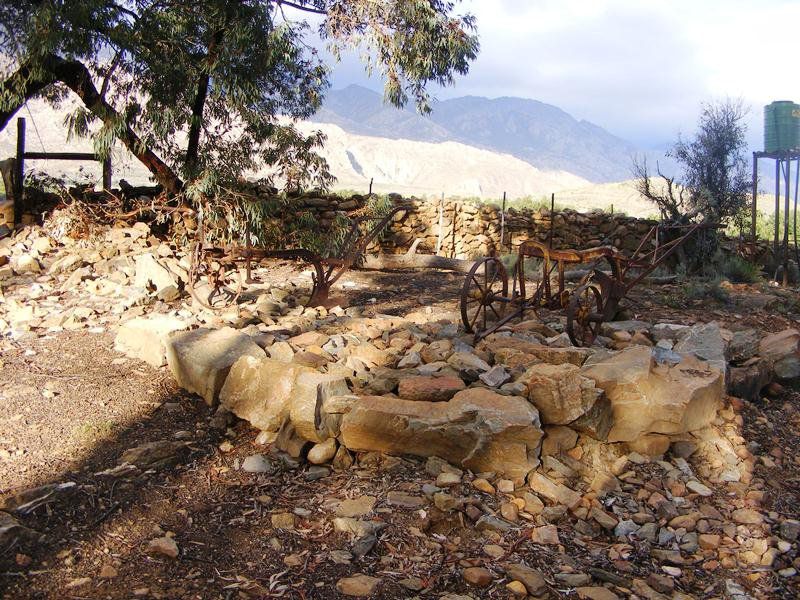 Op Die Plaas Kamp Seweweekspoort Western Cape South Africa Cactus, Plant, Nature