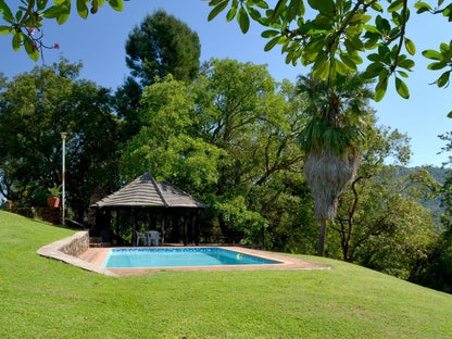 Oppi Plaas Abek, Tree, Plant, Nature, Wood, Swimming Pool