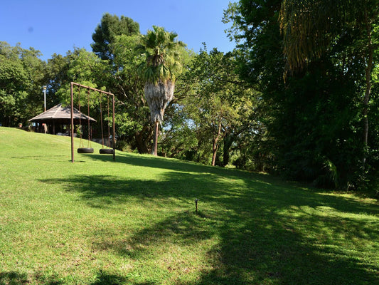 Oppi Plaas Abek, Palm Tree, Plant, Nature, Wood