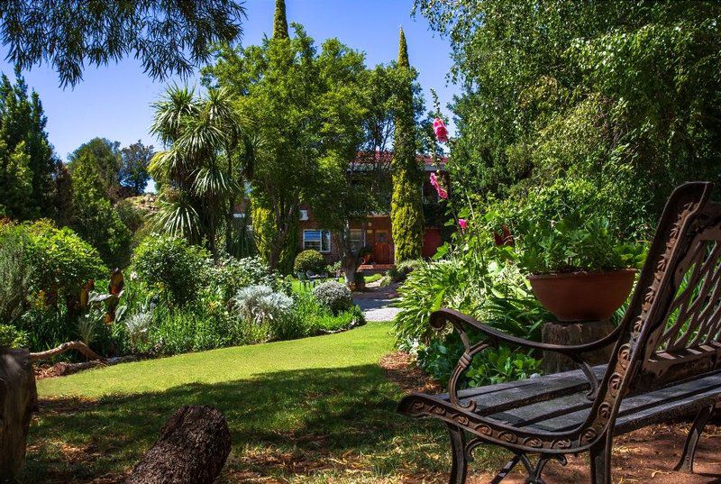 Oppie Koppie Bed And Beskuit Bethulie Free State South Africa Palm Tree, Plant, Nature, Wood, Garden