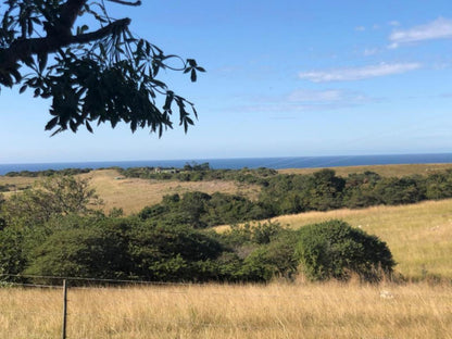 Oppieplaas Bandb Haga Haga Eastern Cape South Africa Complementary Colors, Nature