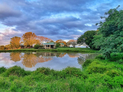 Oppieplaas Country Estate, Autumn, Nature