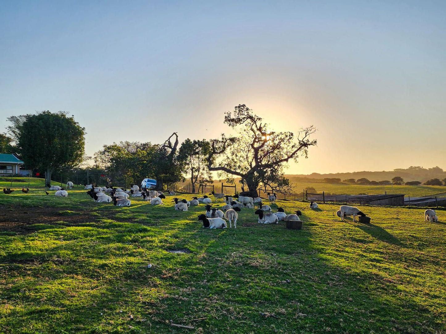 Oppieplaas Country Estate, Field, Nature, Agriculture, Cemetery, Religion, Grave, Lowland