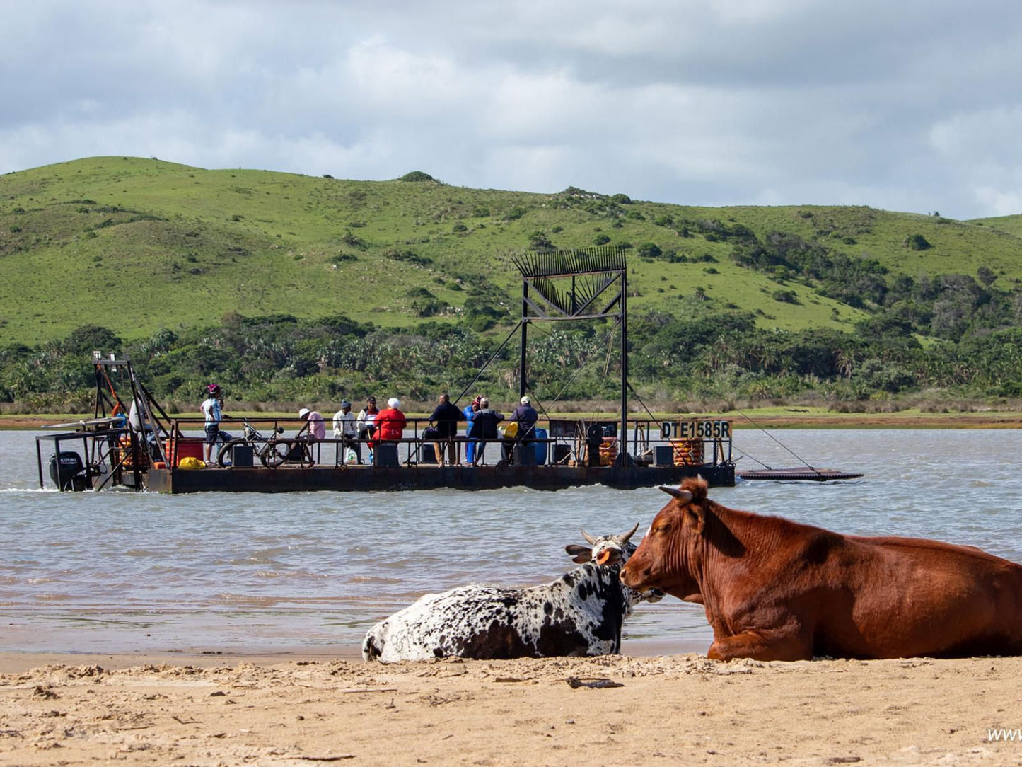 Oppieplaas Country Estate, Beach, Nature, Sand, Animal