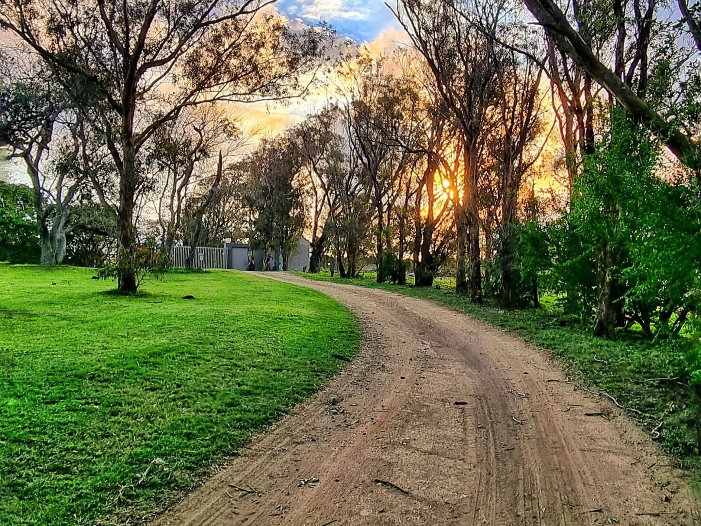 Oppieplaas Country Estate, Tree, Plant, Nature, Wood, Street, Sunset, Sky