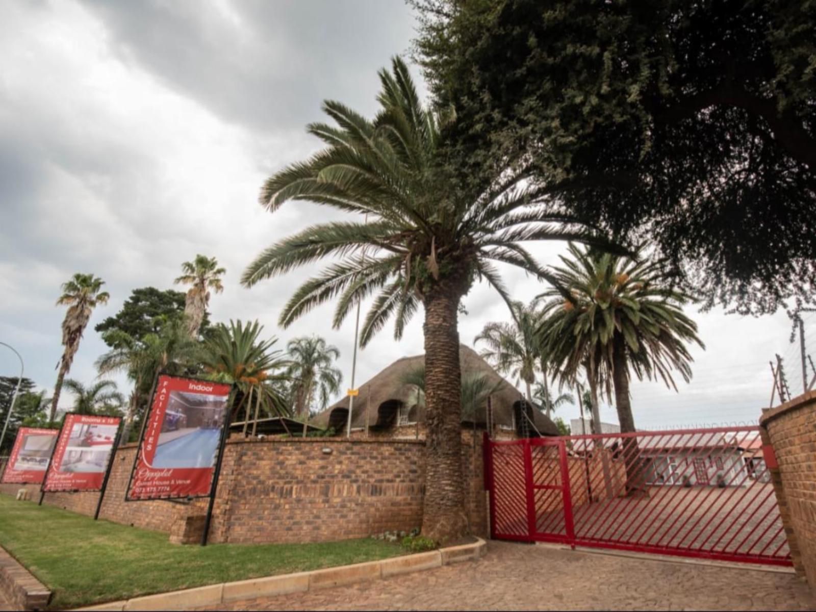 Oppiplot Guest House, Palm Tree, Plant, Nature, Wood