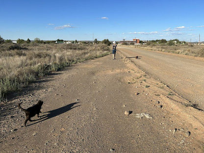 Oppirantje Orania Northern Cape South Africa Complementary Colors, Dog, Mammal, Animal, Pet, Desert, Nature, Sand, Leading Lines, Lowland, Street