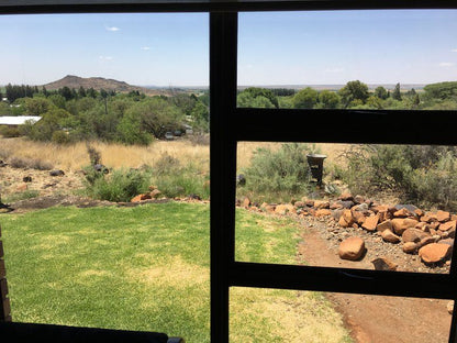 Oppirantje Orania Northern Cape South Africa Complementary Colors, Cactus, Plant, Nature, Desert, Sand, Framing