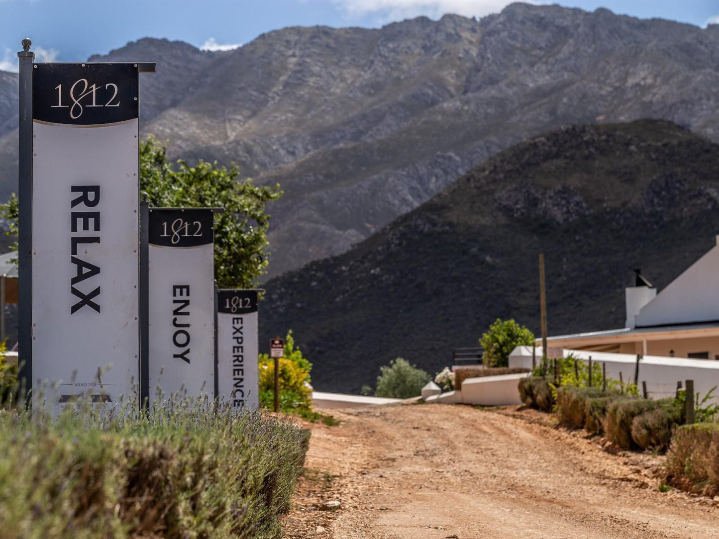 Orange Grove Farm Robertson Western Cape South Africa Cactus, Plant, Nature, Sign, Text, Desert, Sand