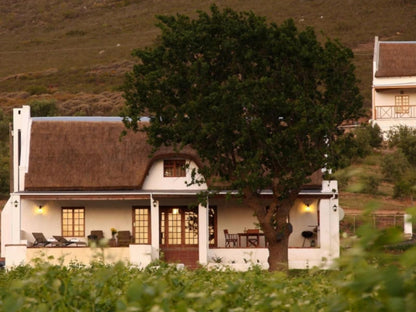 Orange Grove Farm Robertson Western Cape South Africa Sepia Tones, House, Building, Architecture, Window