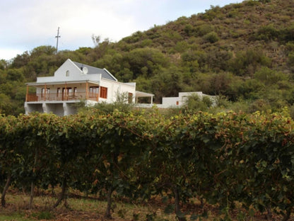 Orange Grove Farm Robertson Western Cape South Africa House, Building, Architecture