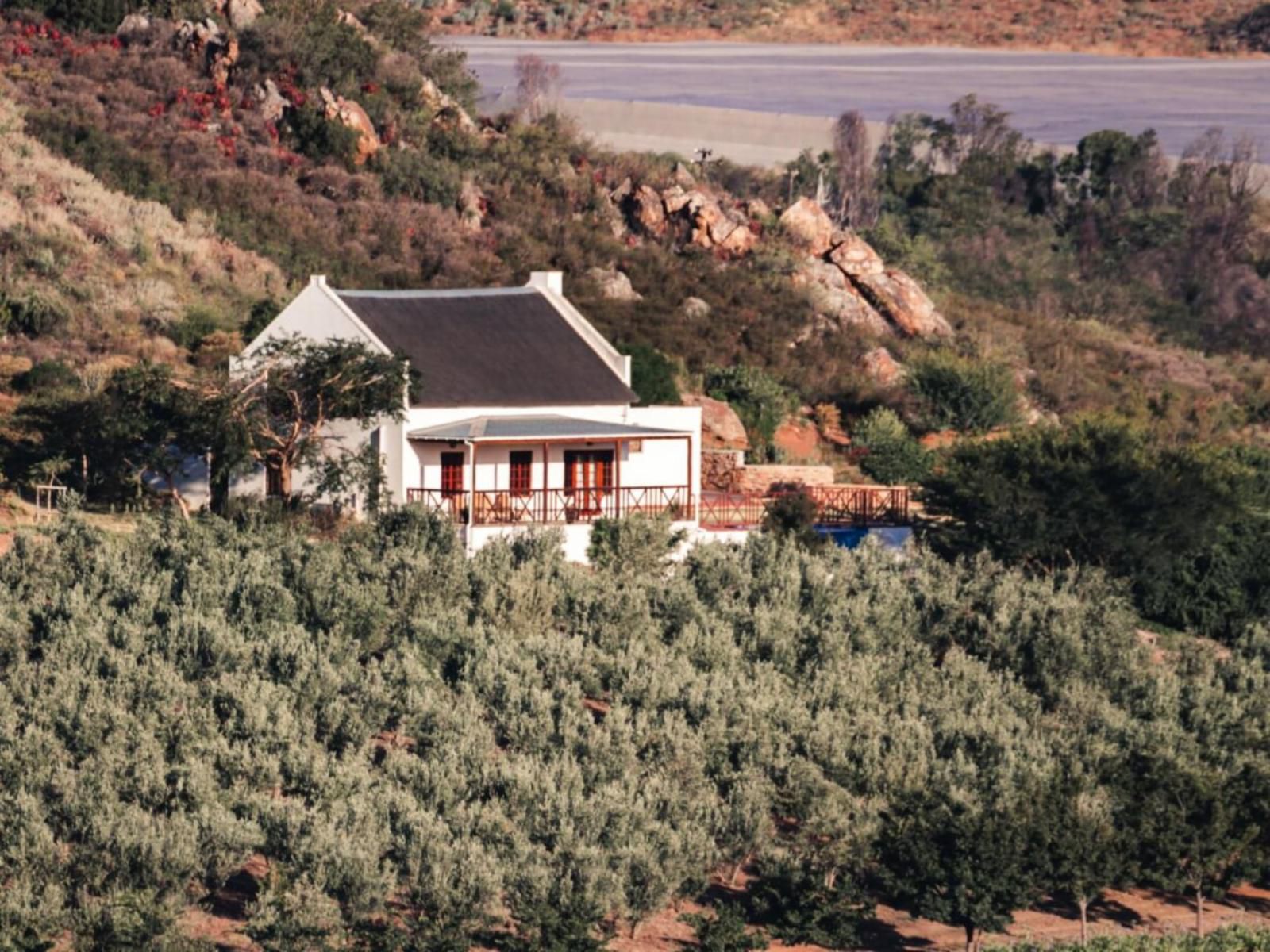 Orange Grove Farm Robertson Western Cape South Africa 
