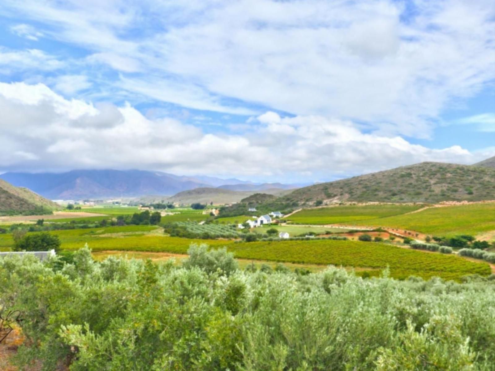 Orange Grove Farm Robertson Western Cape South Africa Complementary Colors, Colorful, Nature