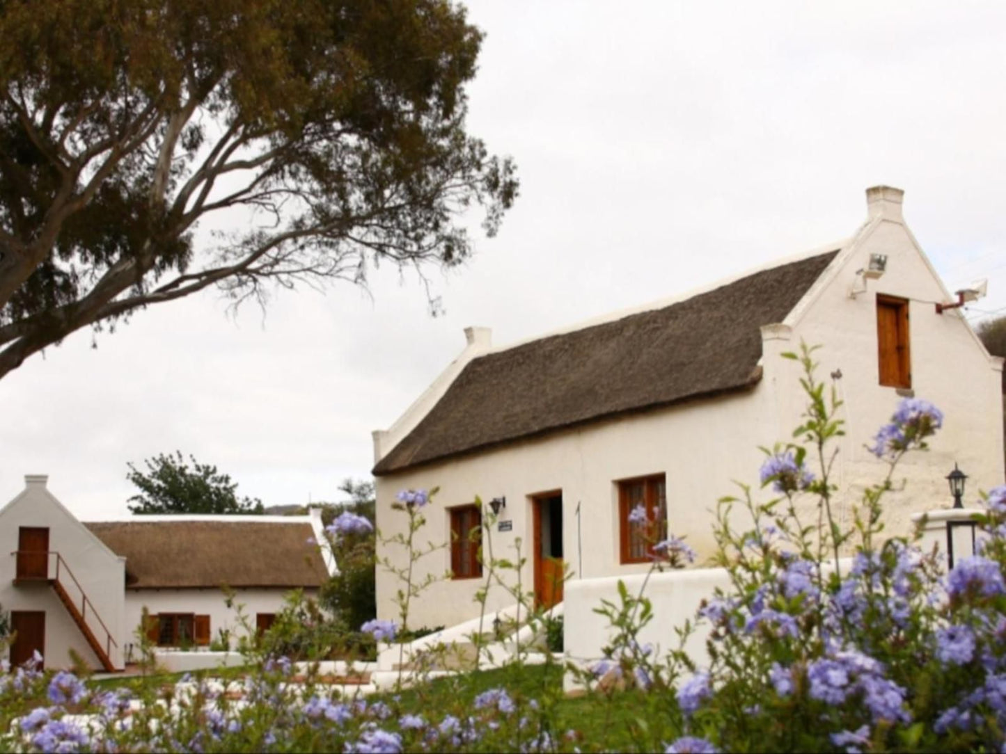 Orange Grove Farm Robertson Western Cape South Africa Building, Architecture, House, Plant, Nature