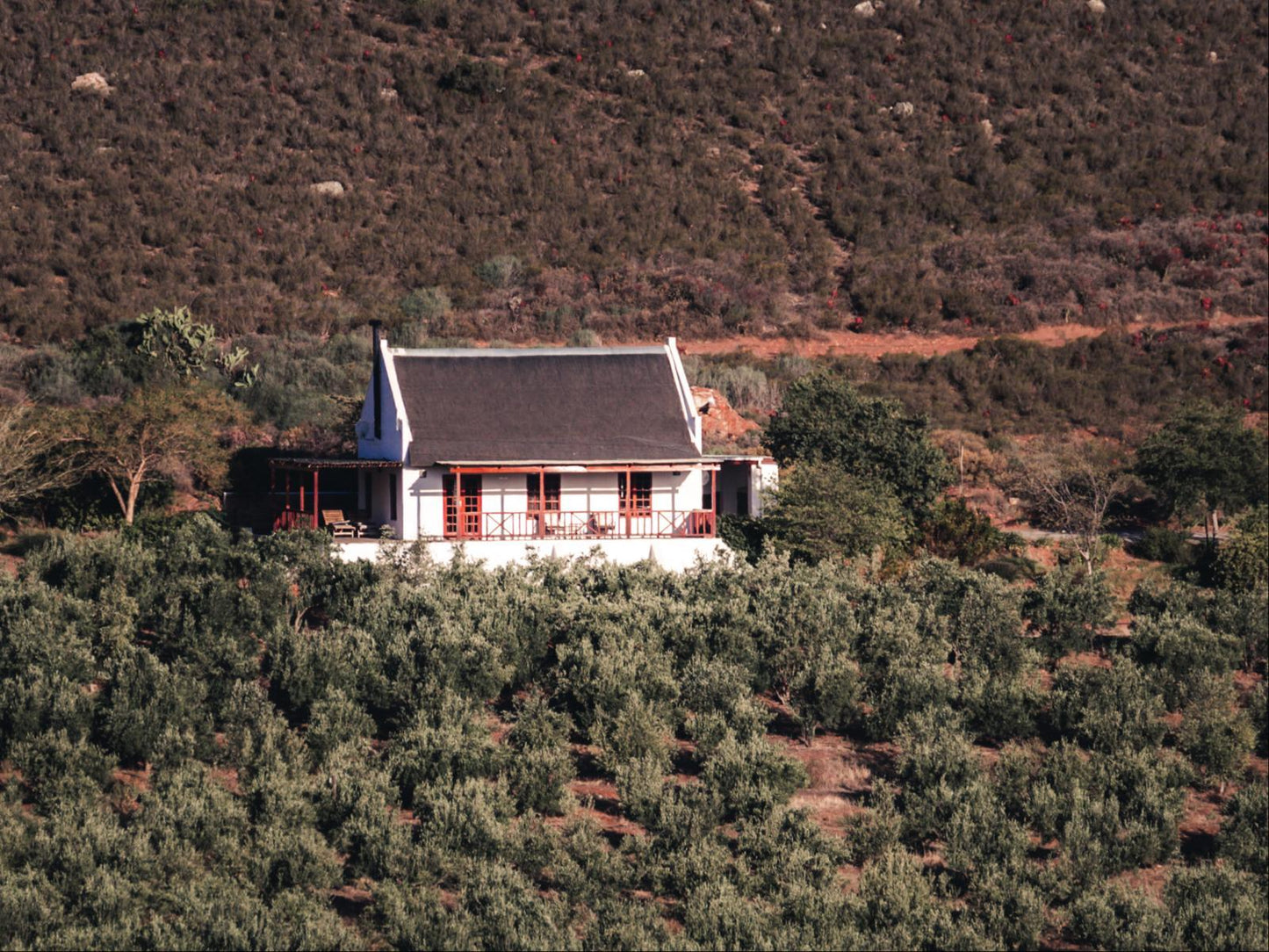 Mosesberg Cottage @ Orange Grove Farm