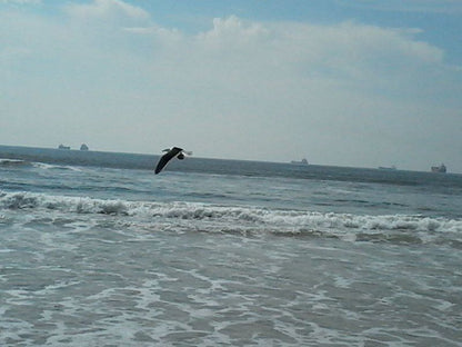 Orange Place 4 Bluewater Bay Port Elizabeth Eastern Cape South Africa Unsaturated, Beach, Nature, Sand, Kitesurfing, Funsport, Sport, Waters, Water Sport