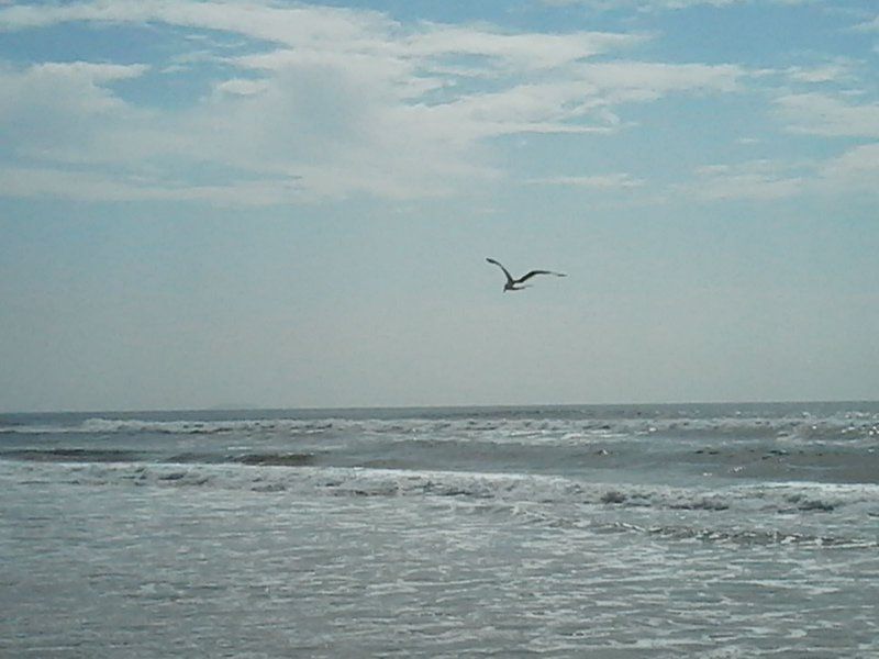 Orange Place 4 Bluewater Bay Port Elizabeth Eastern Cape South Africa Unsaturated, Beach, Nature, Sand, Ocean, Waters