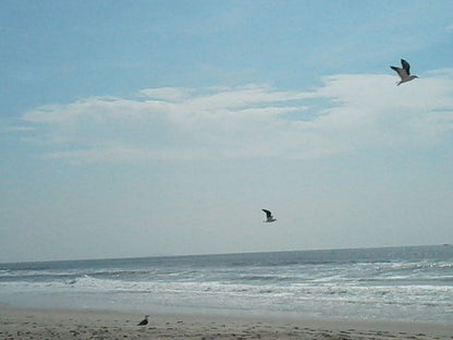 Orange Place 4 Bluewater Bay Port Elizabeth Eastern Cape South Africa Beach, Nature, Sand, Ocean, Waters