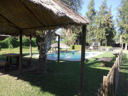 Orange River Rafting Lodge By Country Hotels, Palm Tree, Plant, Nature, Wood, Swimming Pool